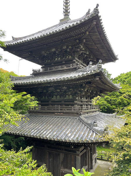 IMG_7453.jpeg